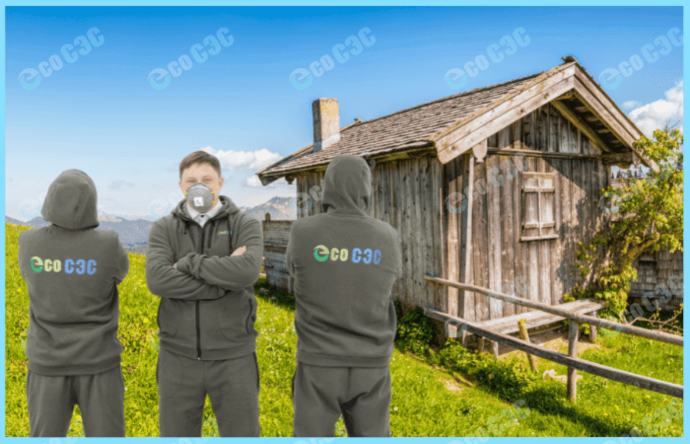 Как при помощи фумигации избавиться от короеда в каркасном доме - фото